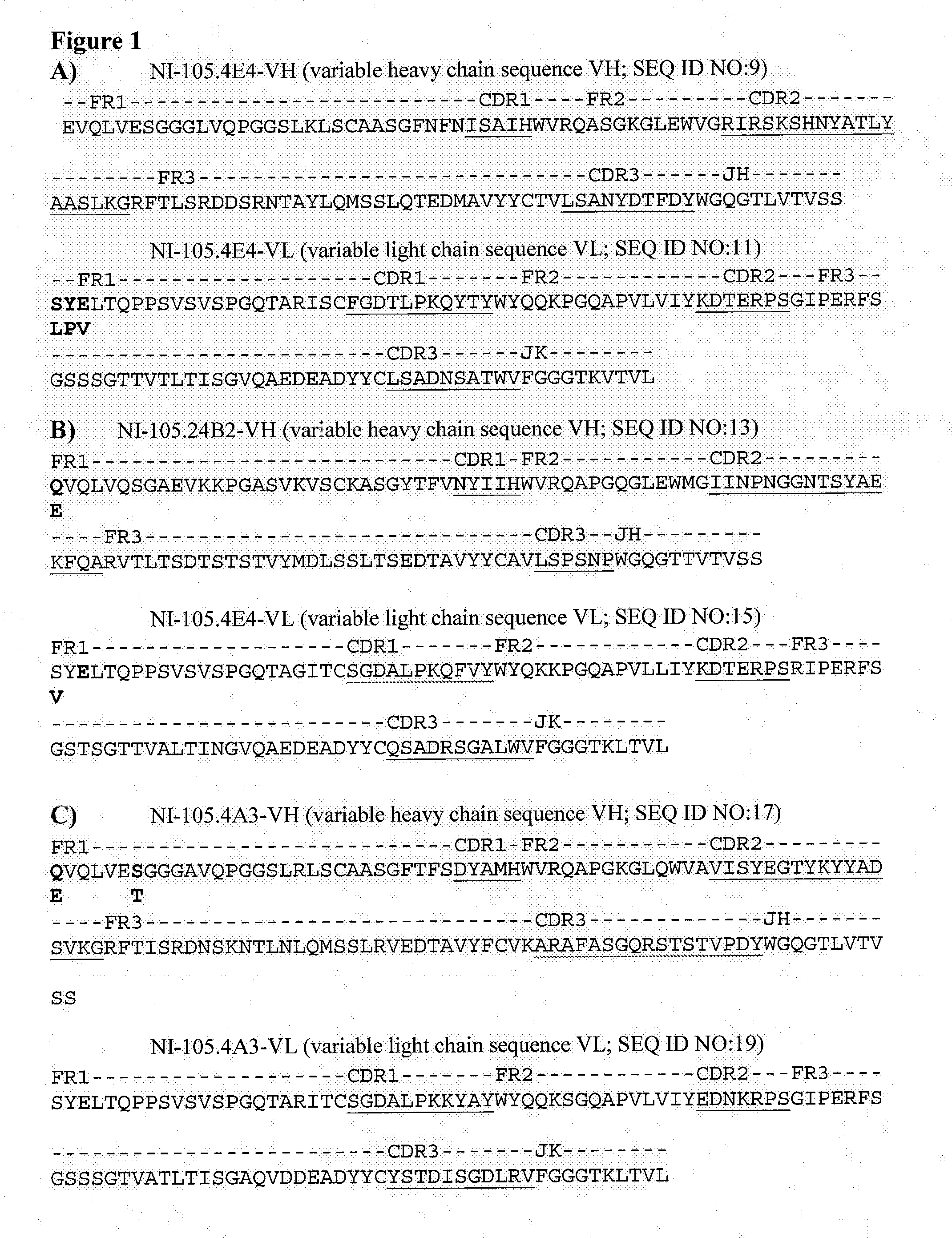 Human Anti-tau antibodies