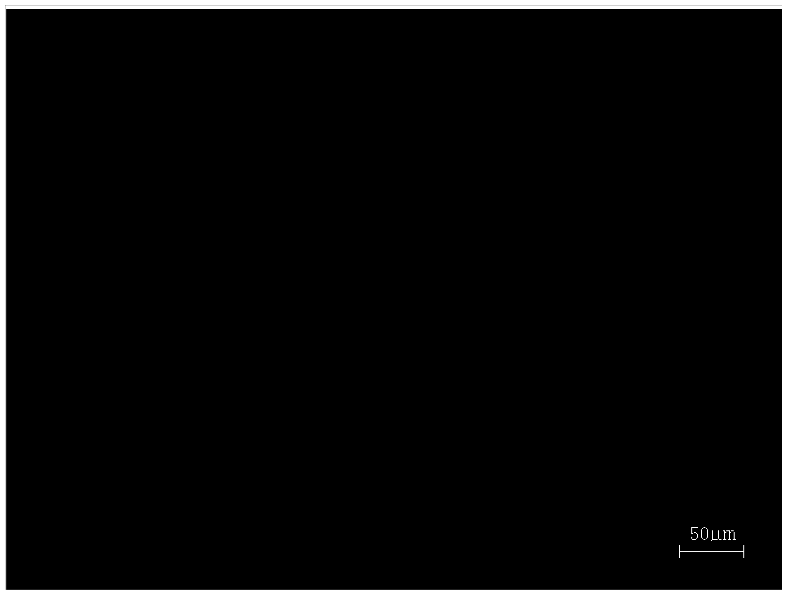 Preparation method of photoresponsive intelligent gel microspheres for three-dimensional cell culture