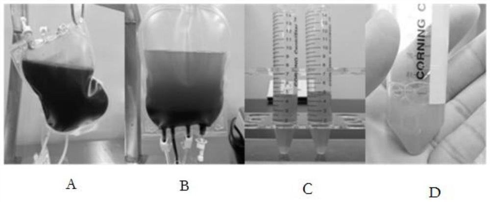 A composition for prolonging skin aging and improving its function and its preparation method