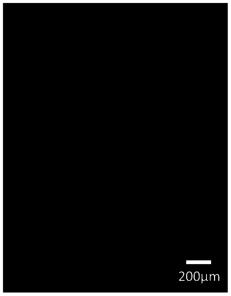 Perovskite ink for electrofluid ink-jet printing multi-color light-emitting display and preparation method of perovskite ink