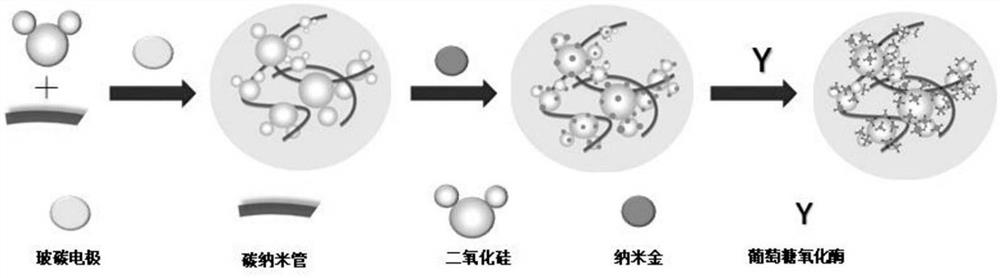 Preparation method and application of SiO2-MWCNTs enzymatic glucose electrochemical sensor