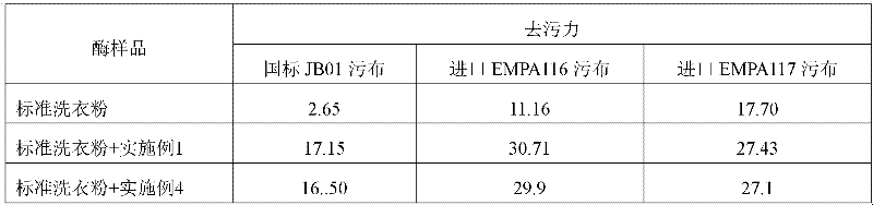 Enzyme particle coated with alkali protease and preparation method thereof