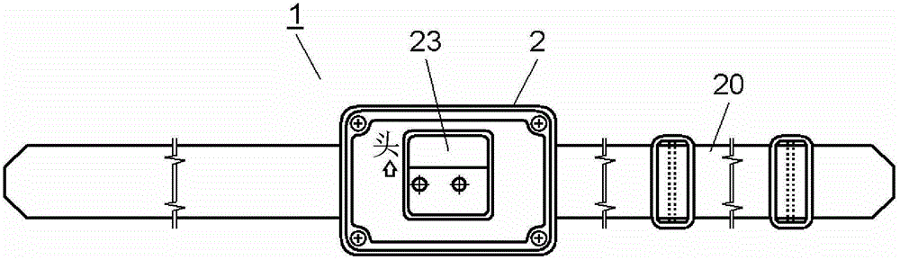 Estrus detection device and estrus detection system