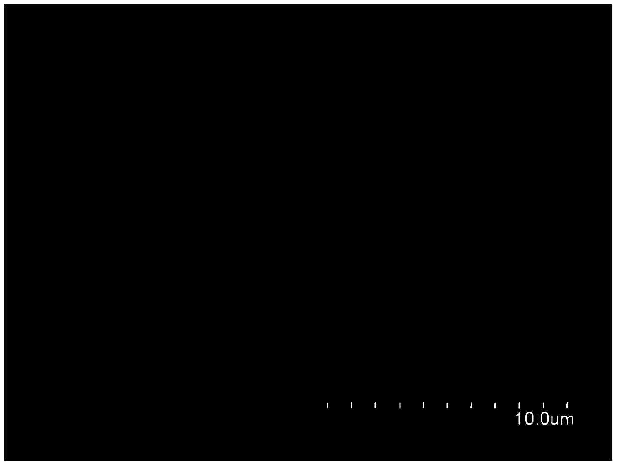 Catalyst for producing formic acid by electroreduction of carbon dioxide and preparation method thereof