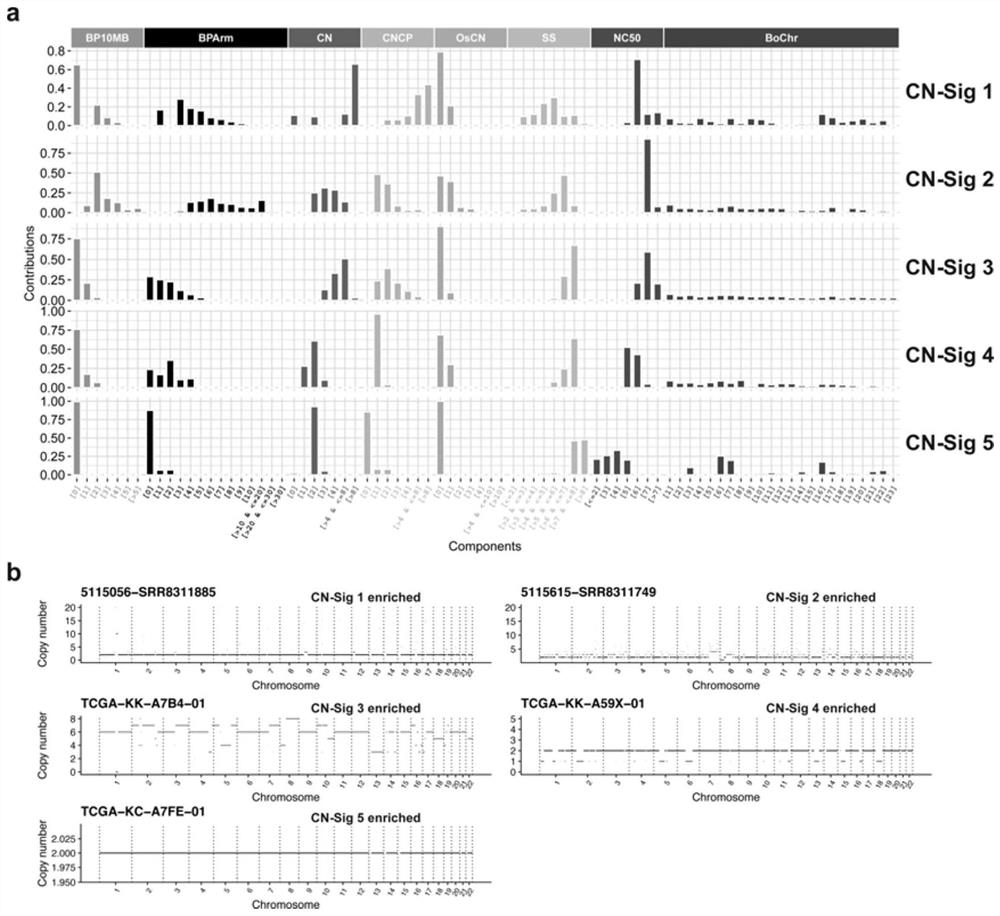 Tumor genome copy number variation characteristic pattern recognition method and application thereof