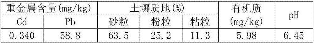 Method of fixing and stabilizing heavy metal Pb in lake bottom mud by using thalia dealbata