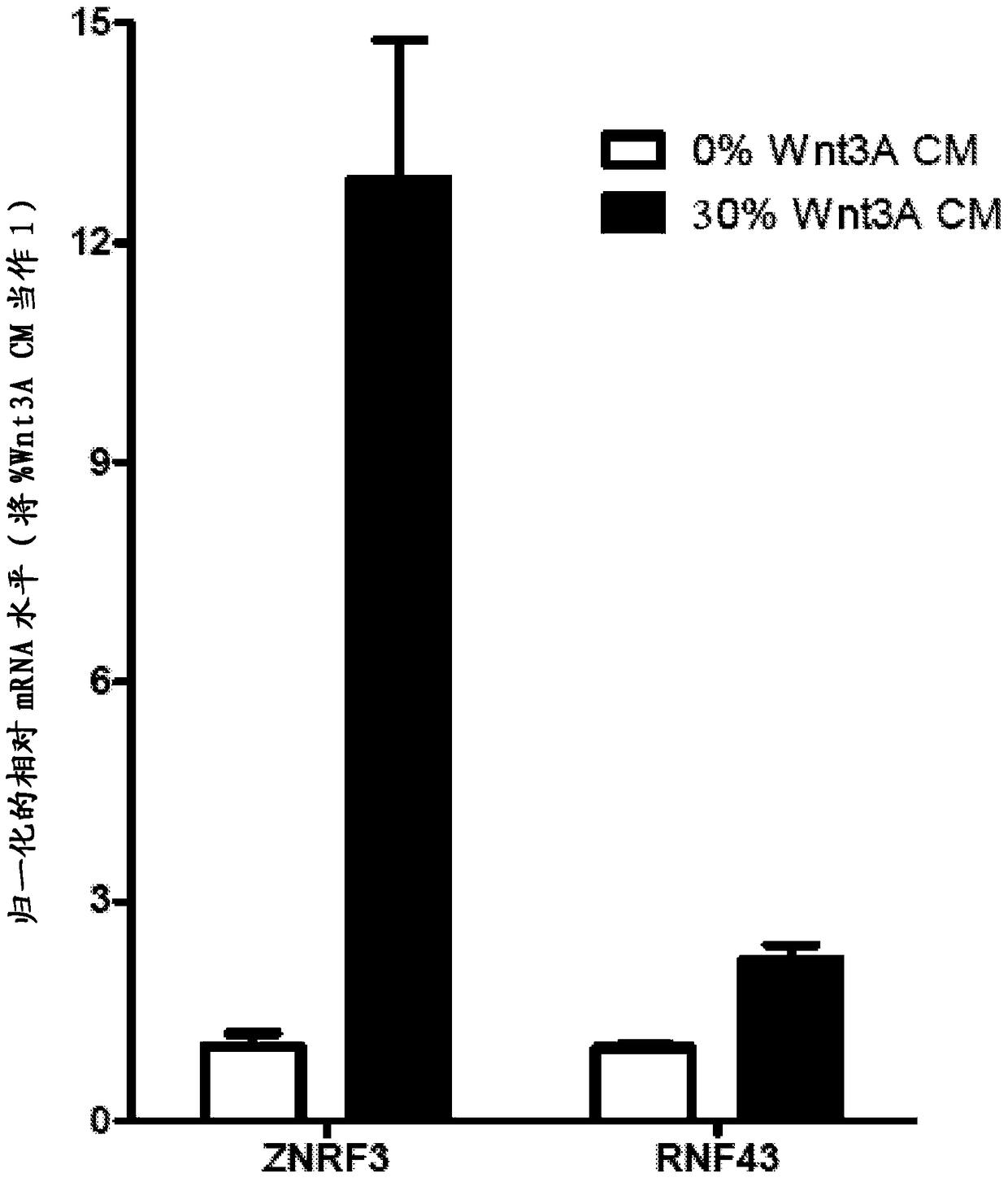 Antibodies and methods for wnt pathway related diseases