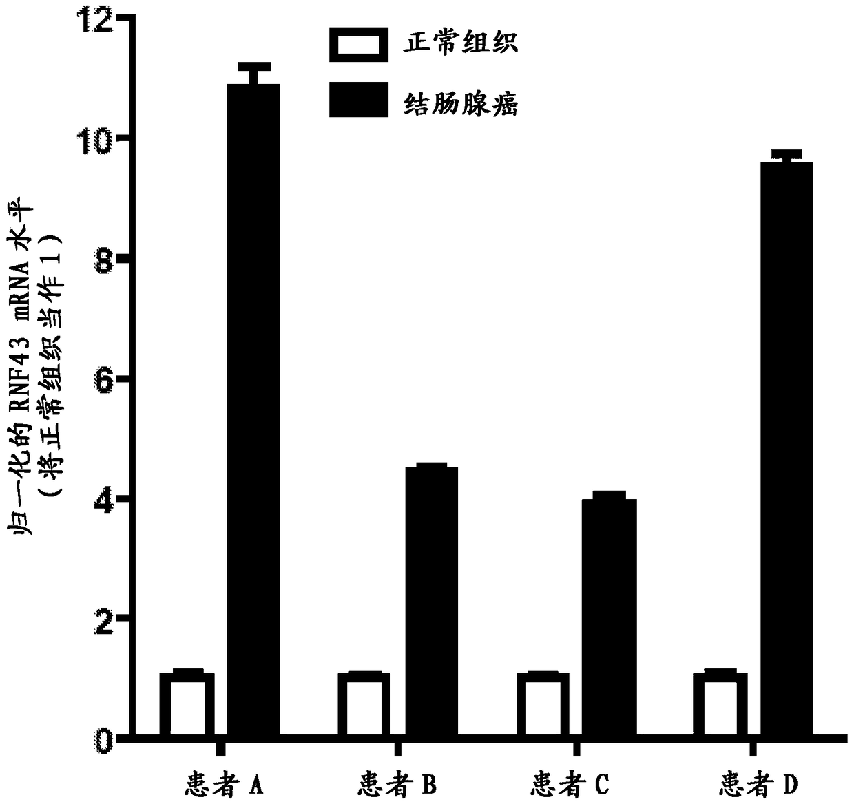 Antibodies and methods for wnt pathway related diseases