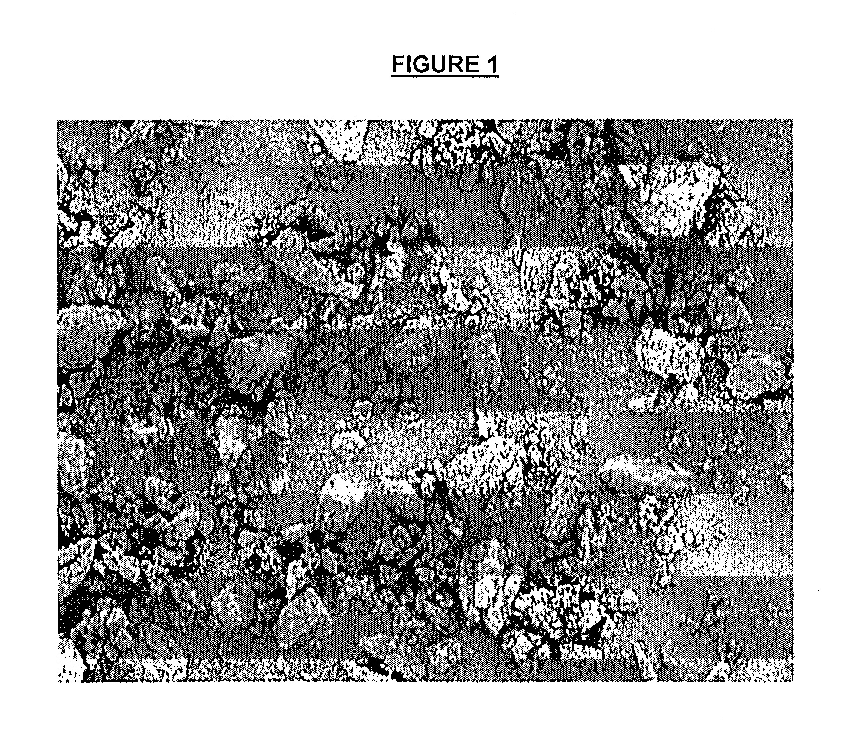 Method of producing a nicotine medicament and a medicament made by the method