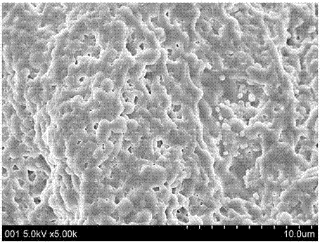 Method for preparing biodegradable carboxymethyl starch/polyvinyl alcohol composite film through wet method