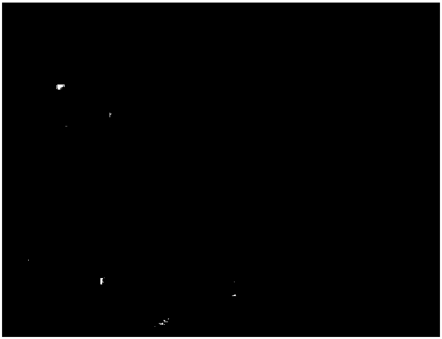 Method for regulating molecular weight of schizophyllan as fermentation product of schizophyllum commune franch