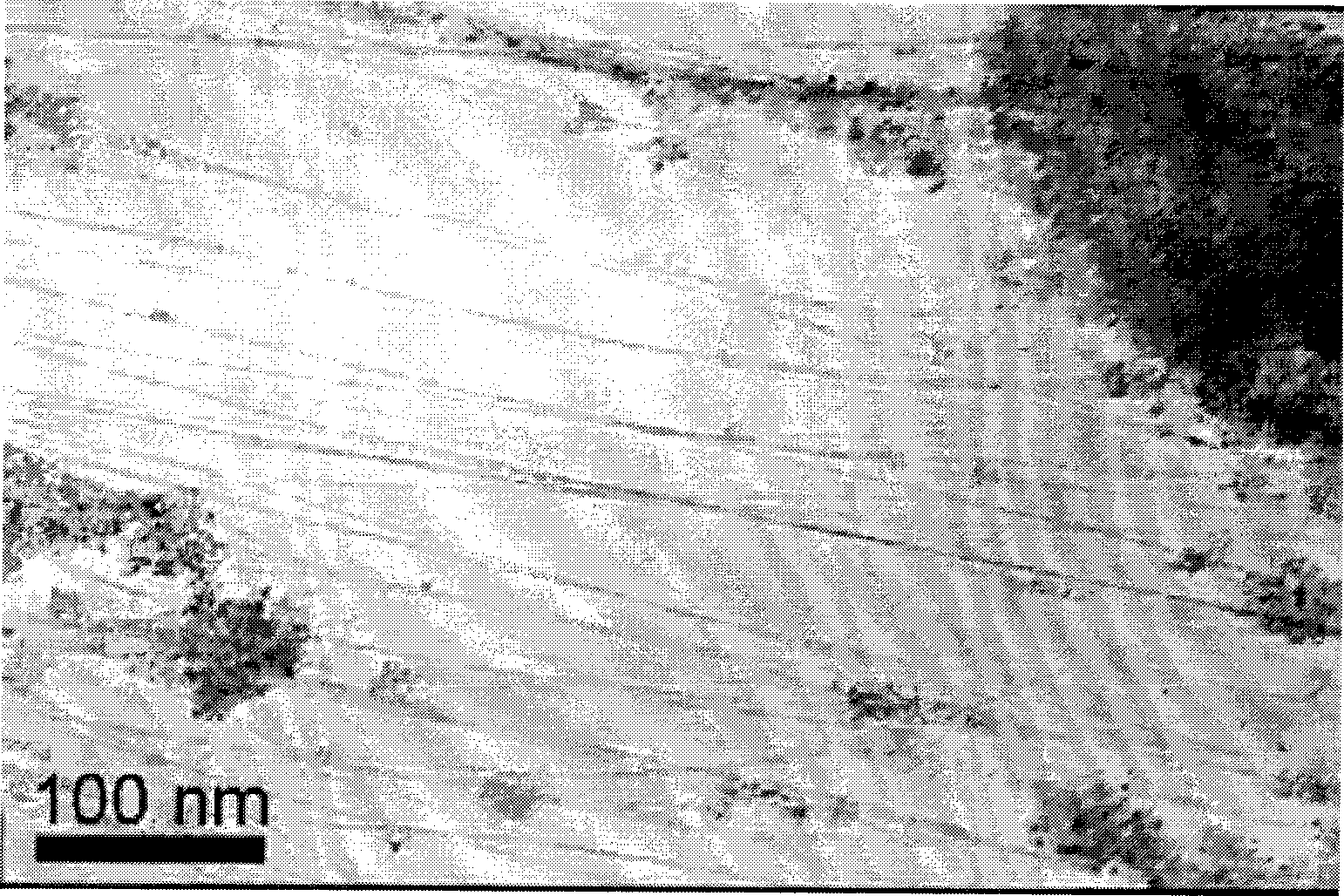 Semi-conductor type single-walled carbon nano tube and preparation method thereof