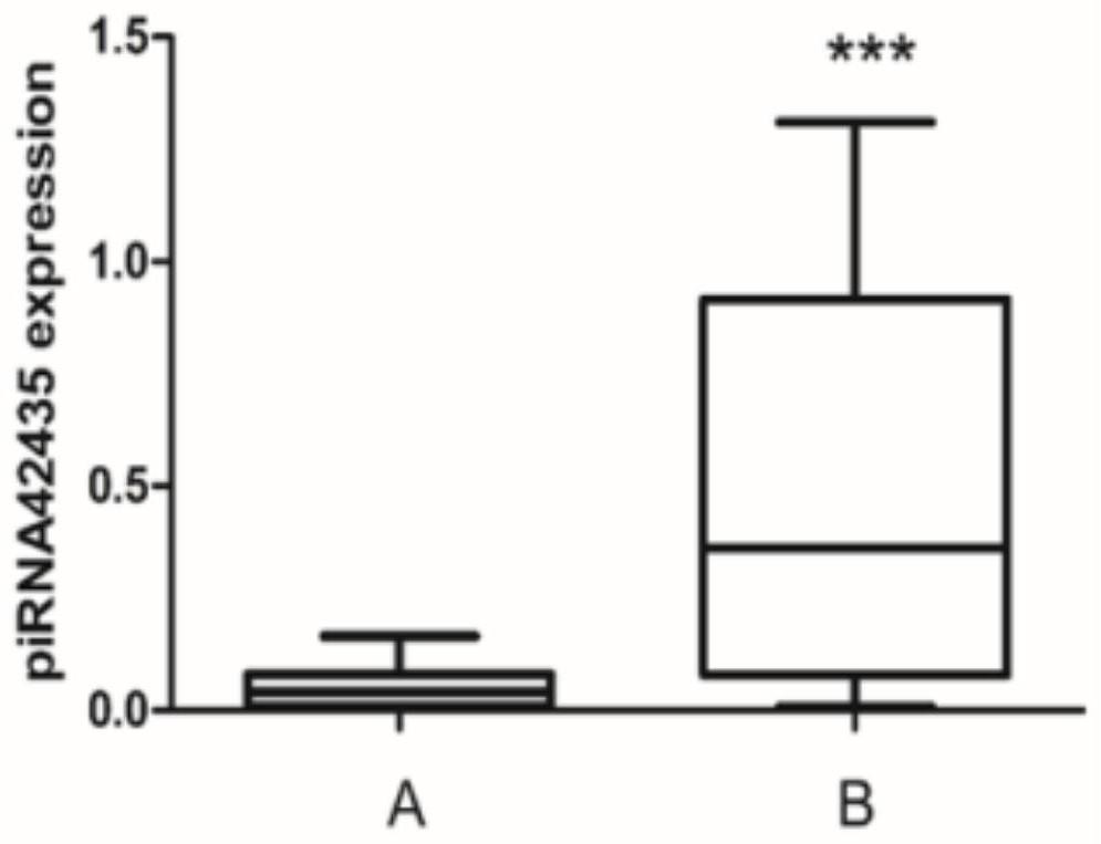 Use of piRNAs as prognostic markers in diffuse large B-cell lymphoma