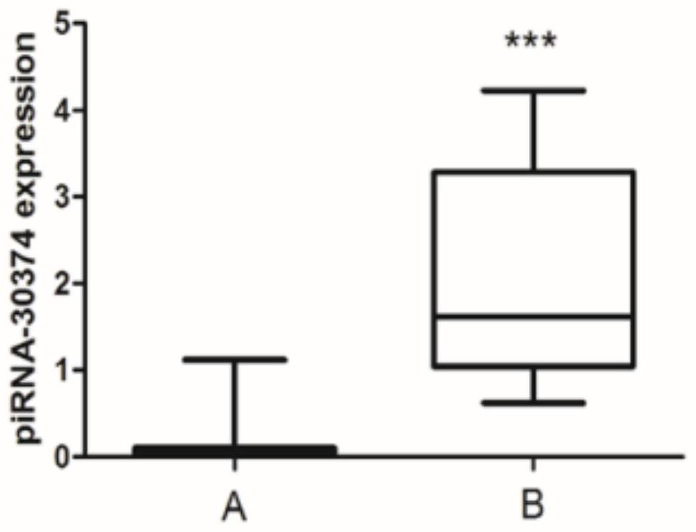 Use of piRNAs as prognostic markers in diffuse large B-cell lymphoma