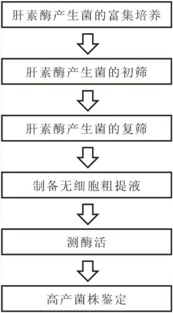 Heparinase high-yielding strain and breeding method thereof