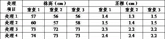 Anti-continuous-cropping microbial fertilizer and preparation method therefor