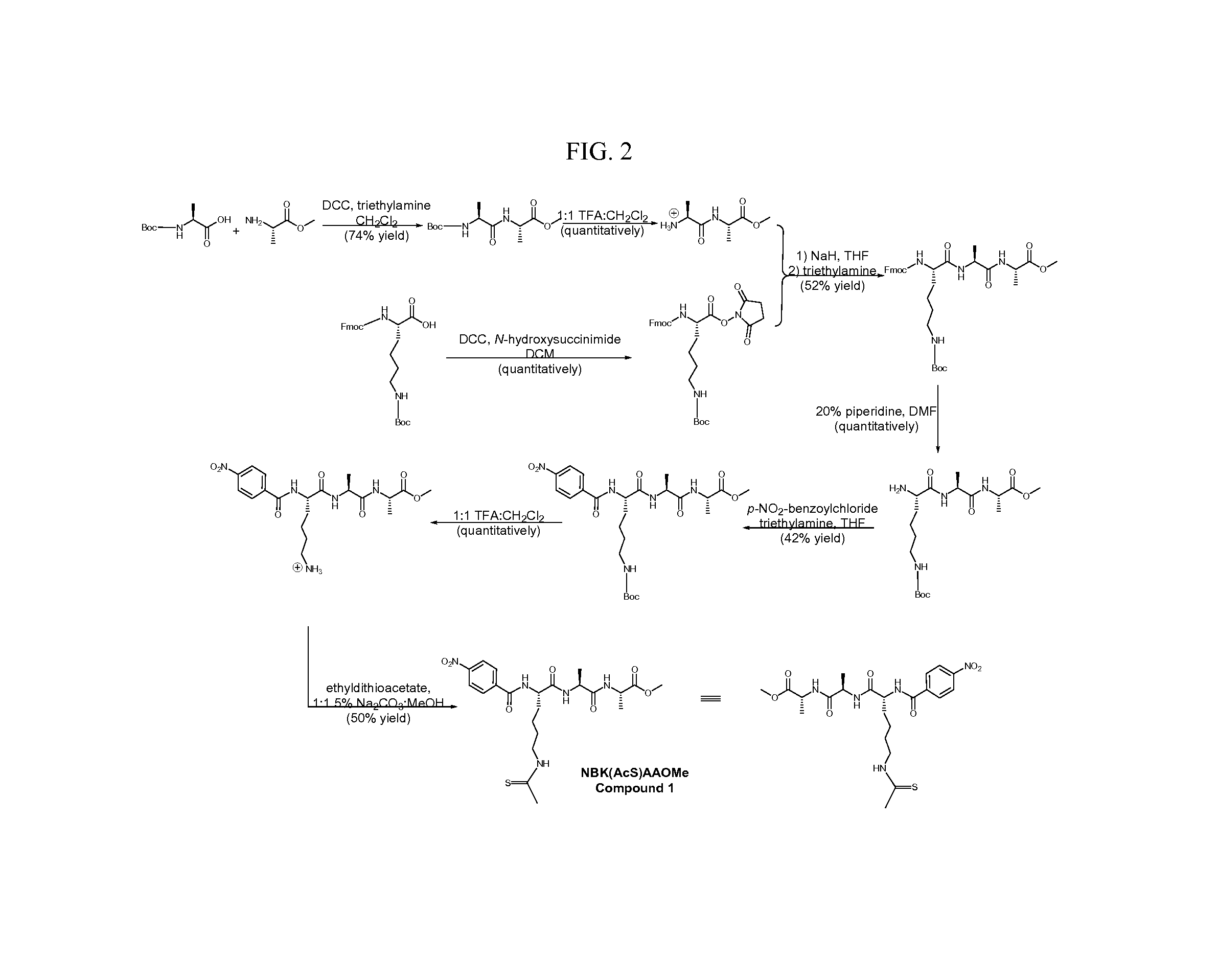 Reagents and methods for sirtuin capture