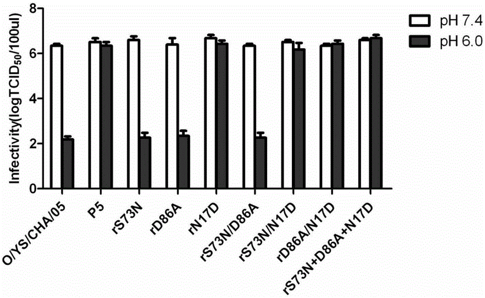 O-type foot-and-mouth disease virus acid-resistant mutant strain, its capsid protein and its encoding gene and application