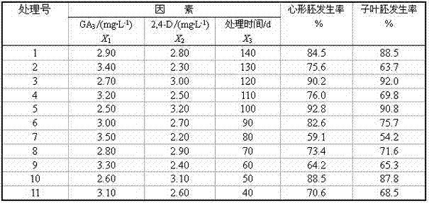 Simple fast after-ripening method of acanthopanax sessiliflorus seeds