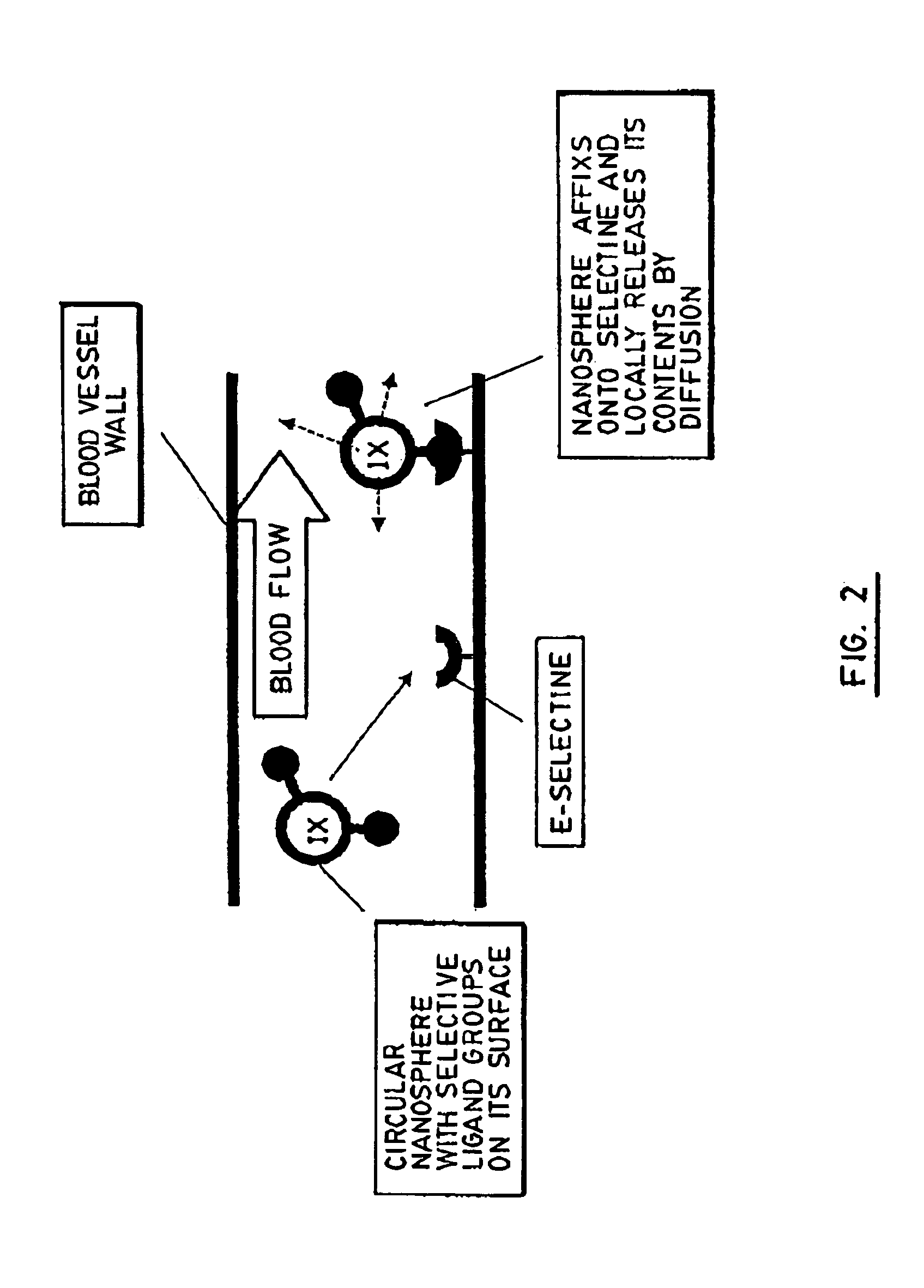 Functionalized polymers and their biomedical and pharmaceutical uses