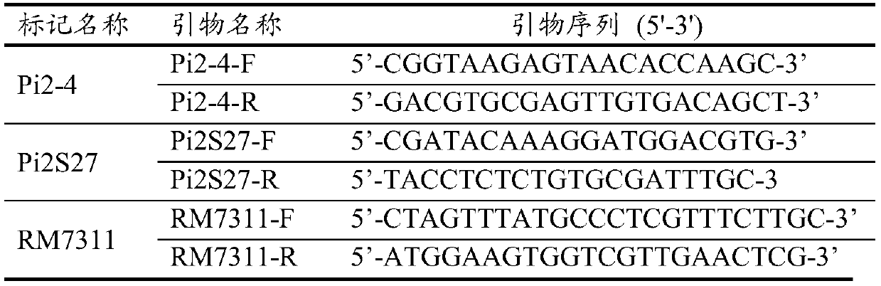 Rice genome recombinant nucleic acid fragment reccr012069 and its detection method