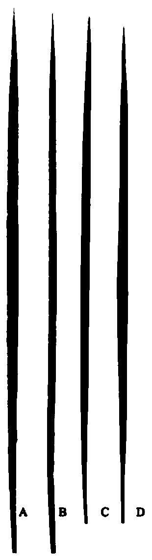 Rice genome recombinant nucleic acid fragment reccr012069 and its detection method