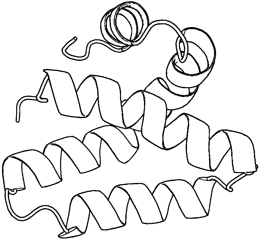 Protein conformation space optimization method based on differential evolution local disturbance