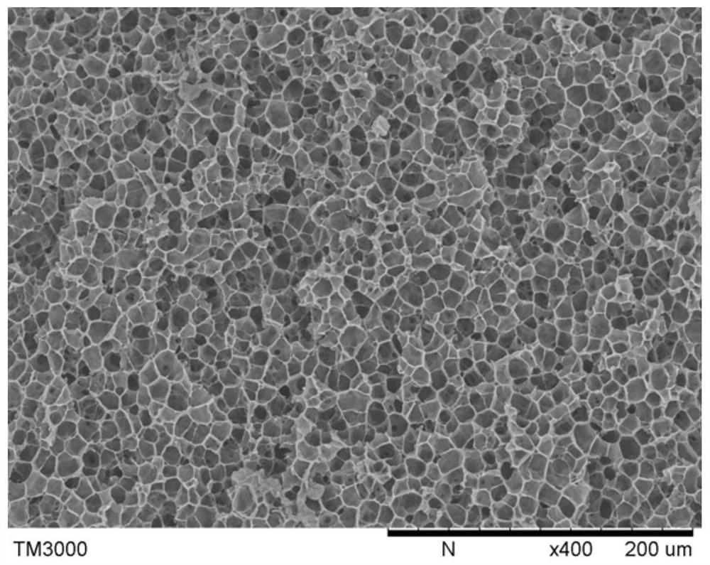 Flame-treatment-free high-foaming-ratio polypropylene foam material and preparation method thereof