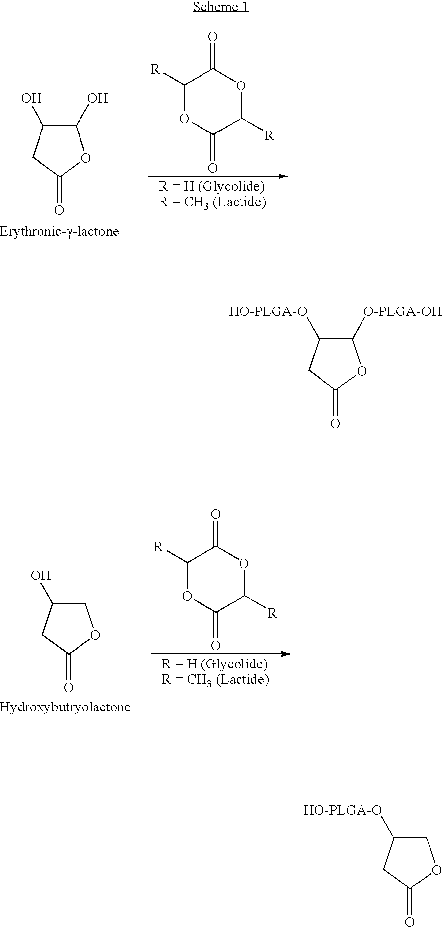 Lactone bearing absorbable polymers