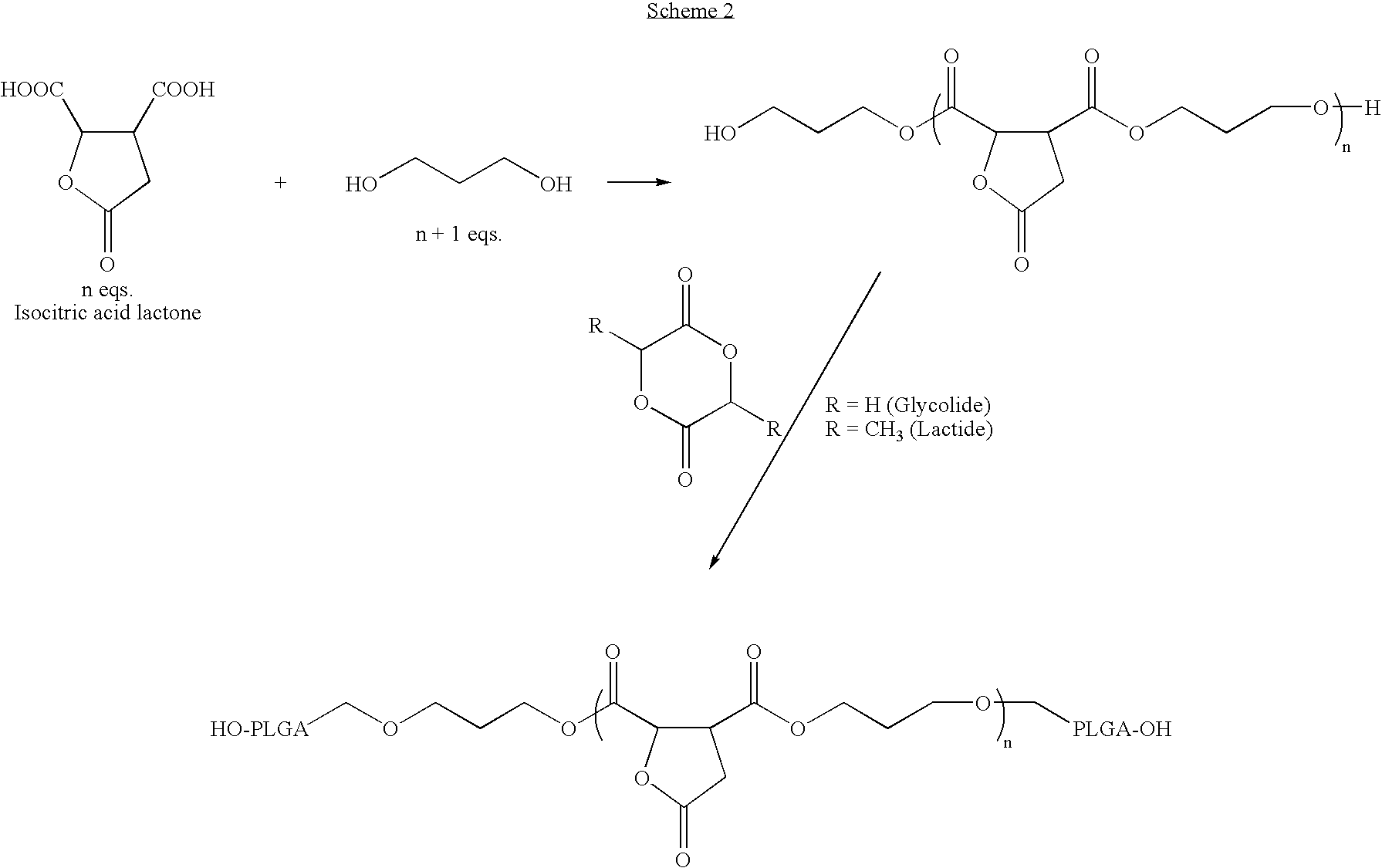 Lactone bearing absorbable polymers