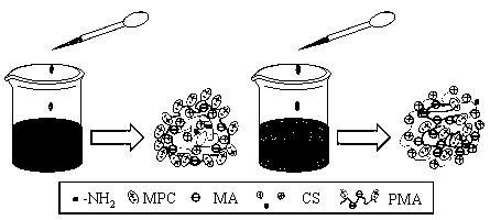 Nanoparticle with simulated outer cell membrane structure as well as preparation method and application thereof