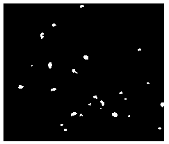 Nanoparticle with simulated outer cell membrane structure as well as preparation method and application thereof