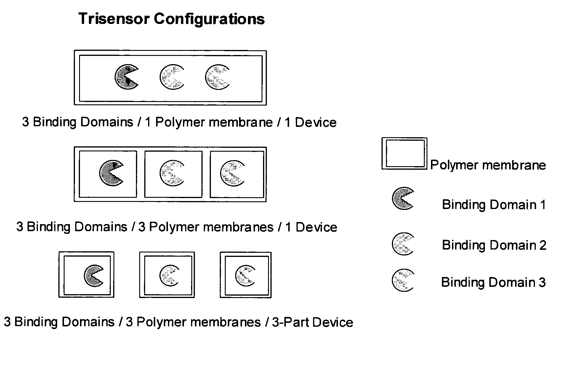 Multianalyte sensor