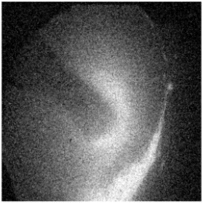 Non-local mean denoising optimization method based on structural similarity