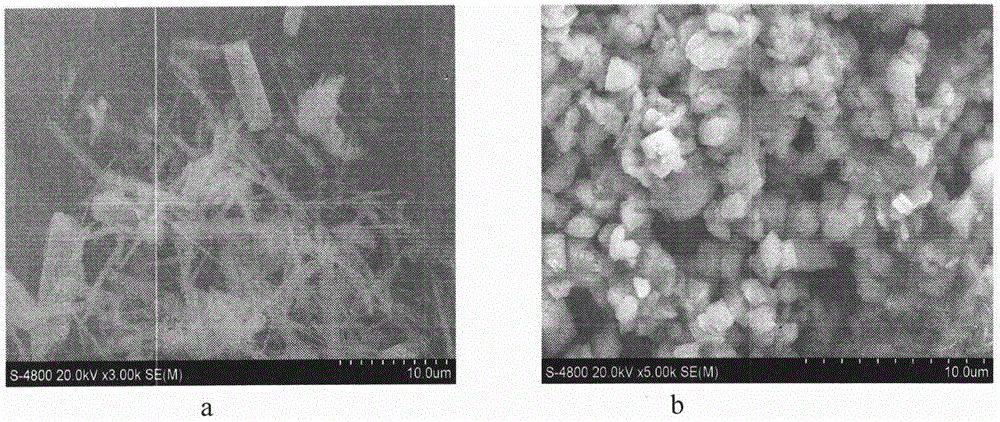 Preparation of Ag2MoO4-CuMoO4 composite antibacterial powder by virtue of ultrasound co-precipitation and ultrasound-molten salt methods