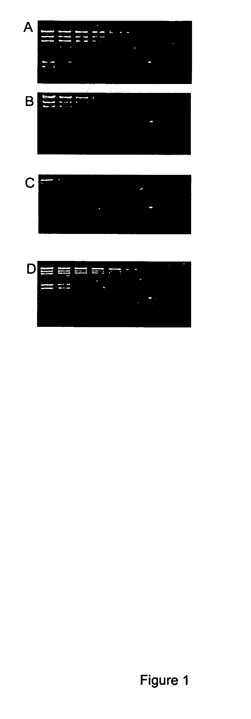 Detection of immobilized nucleic acid