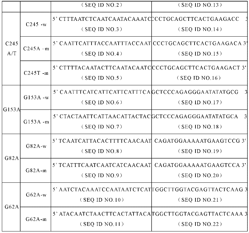 apoB (apolipoprotein B) gene SNP (Single Nucleotide Polymorphism) detection specific primer and liquid-phase chip