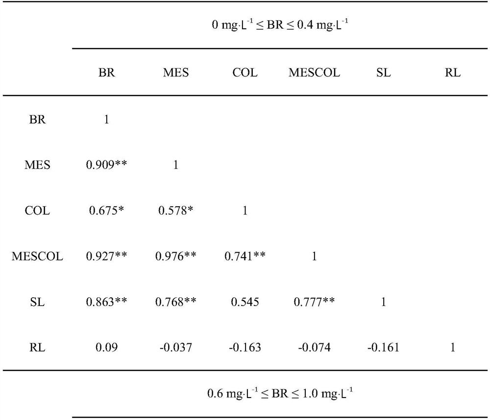 Method for relieving corn deep sowing stress by applying exogenous brassinosterols