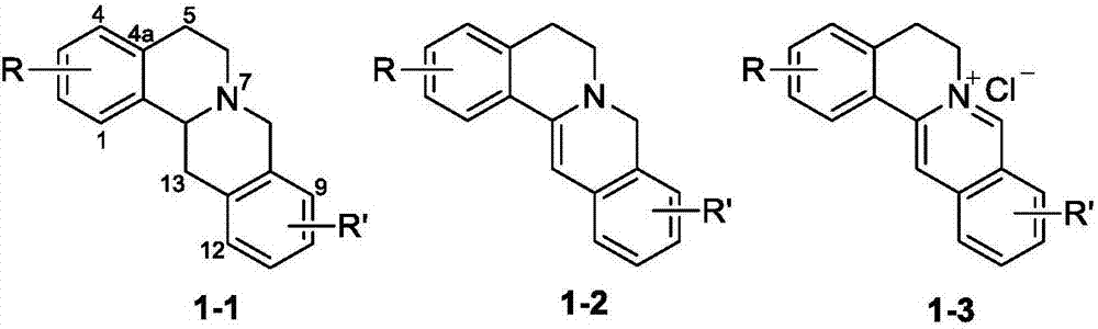 Berberine-based derivative and preparation method thereof, pharmaceutical composition, and antitumor uses of berberine-based derivative and pharmaceutical composition