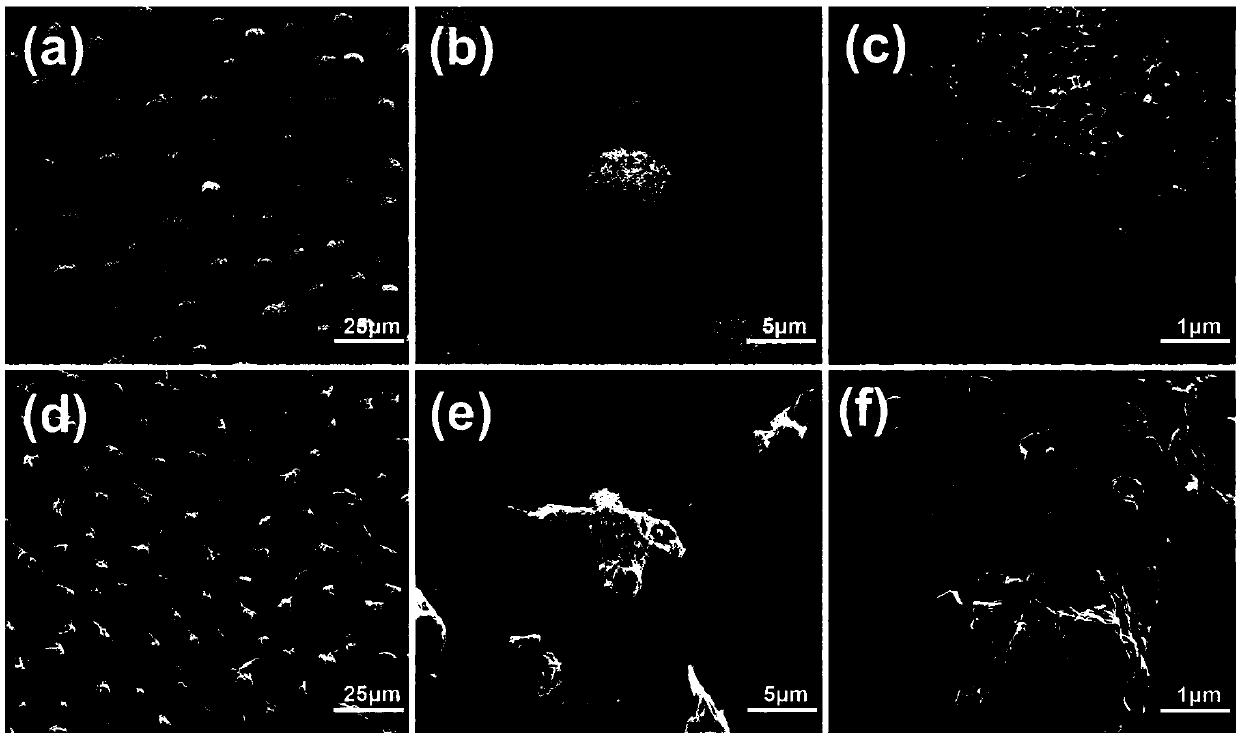 Lotus leaf-based photothermal conversion material preparing method