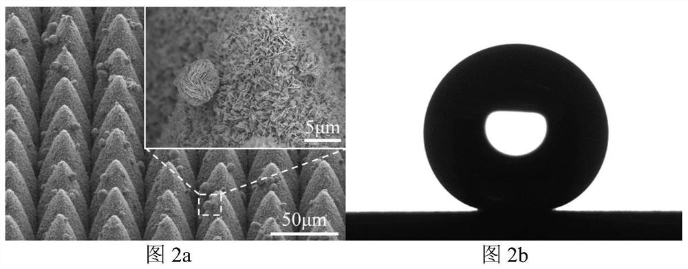 A stable superhydrophobic metal surface with a three-dimensional three-level micro-nano structure and its preparation method