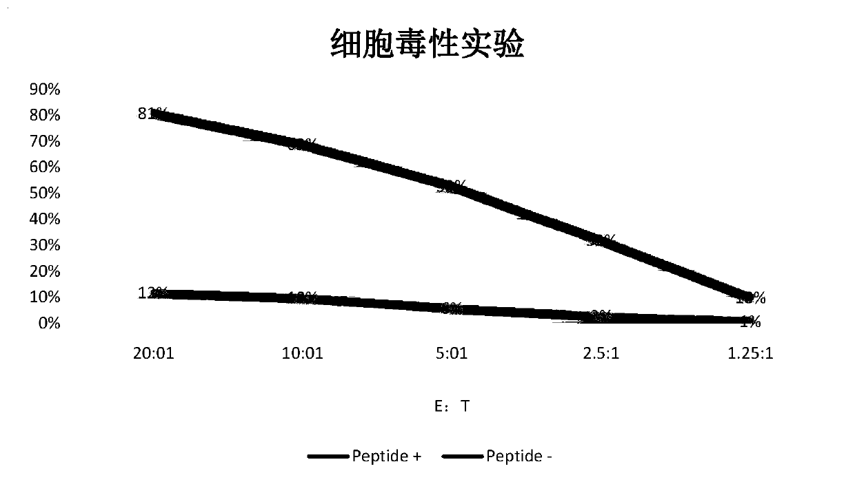 Tumor-associated antigen XAGE-1b nonapeptide and application thereof