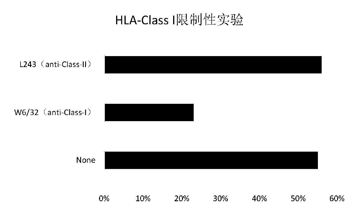 Tumor-associated antigen XAGE-1b nonapeptide and application thereof