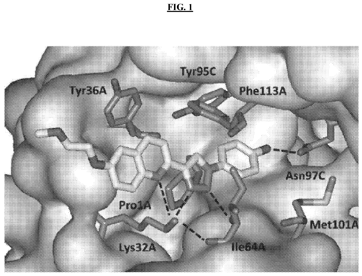 Pyrazole-Containing Macrophage Migration Inhibitory Factor Inhibitors