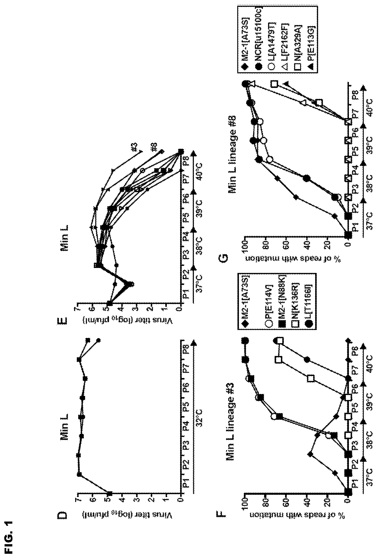 Vaccine candidates for human respiratory syncytial virus (RSV) having attenuated phenotypes