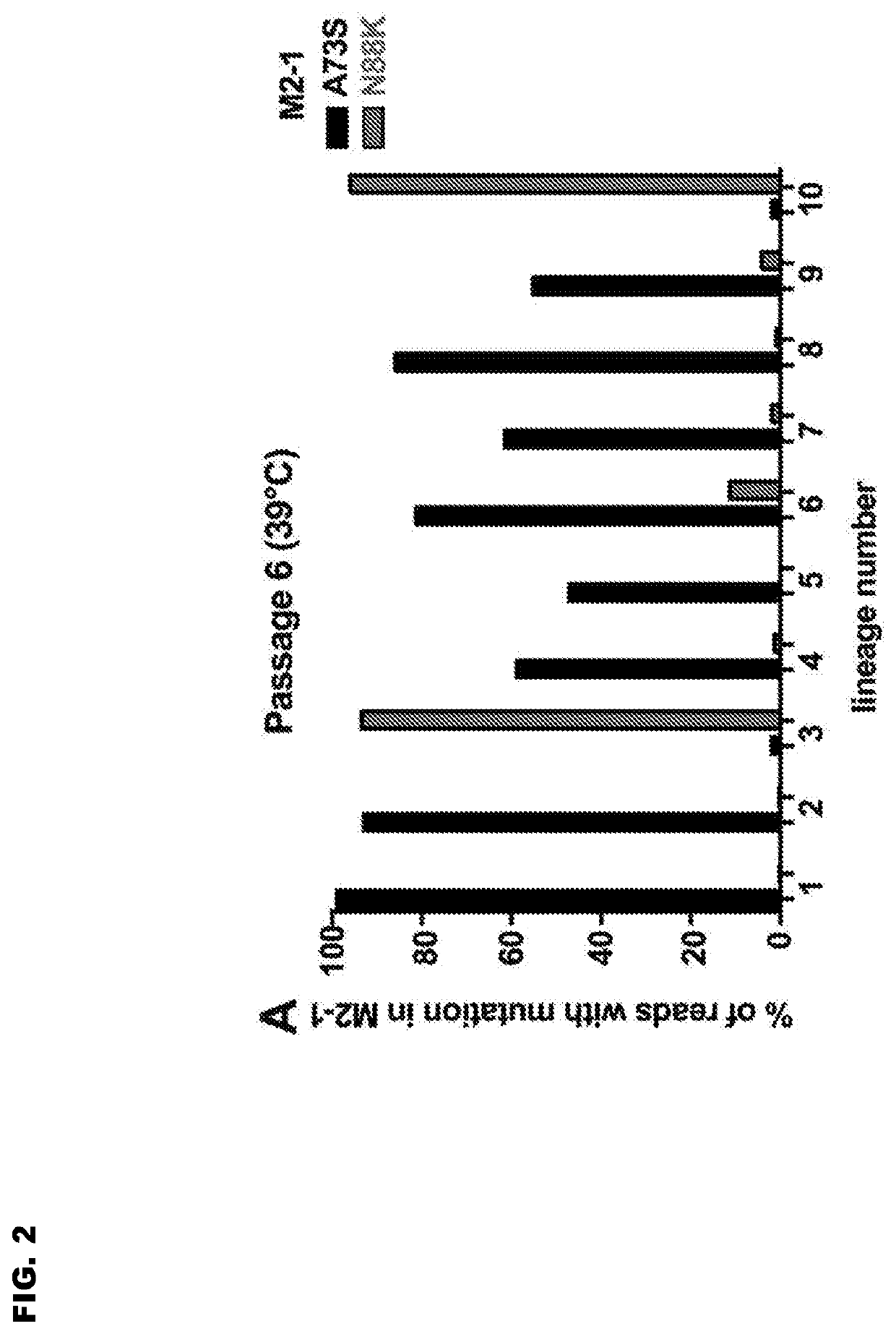 Vaccine candidates for human respiratory syncytial virus (RSV) having attenuated phenotypes