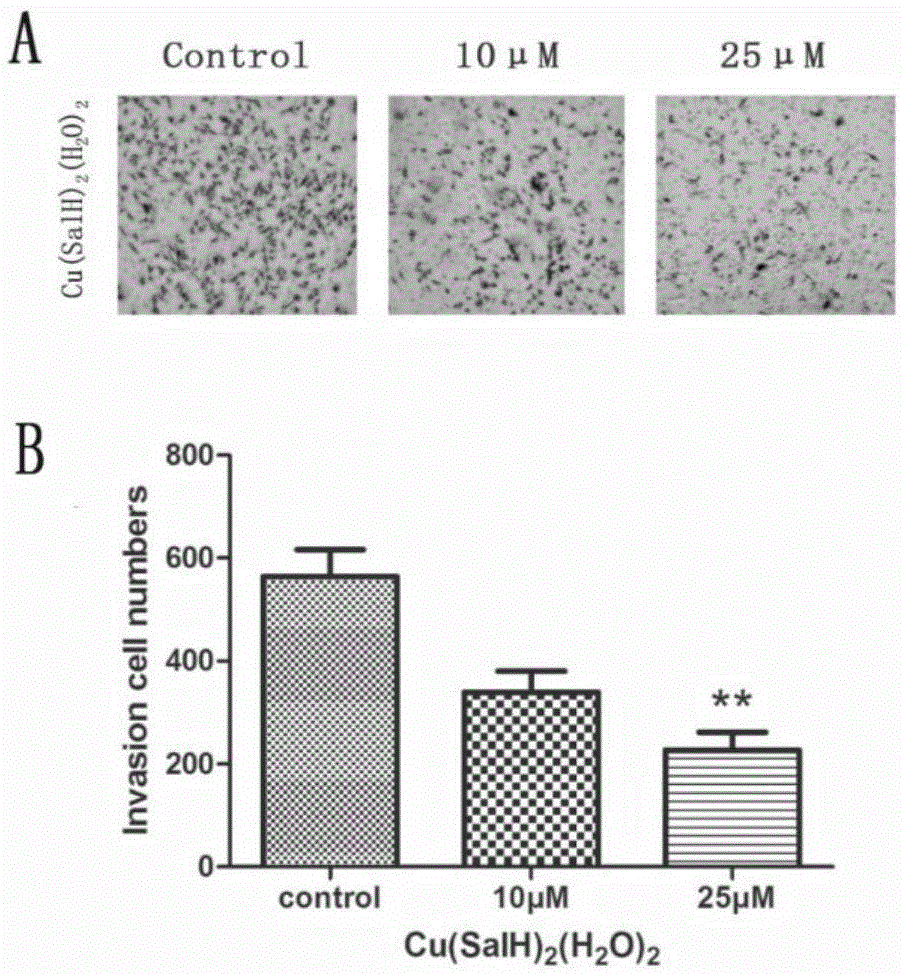 Application of 3,5-di-tert-butyl copper salicylate to preparing drug for treating high-metastatic breast cancer