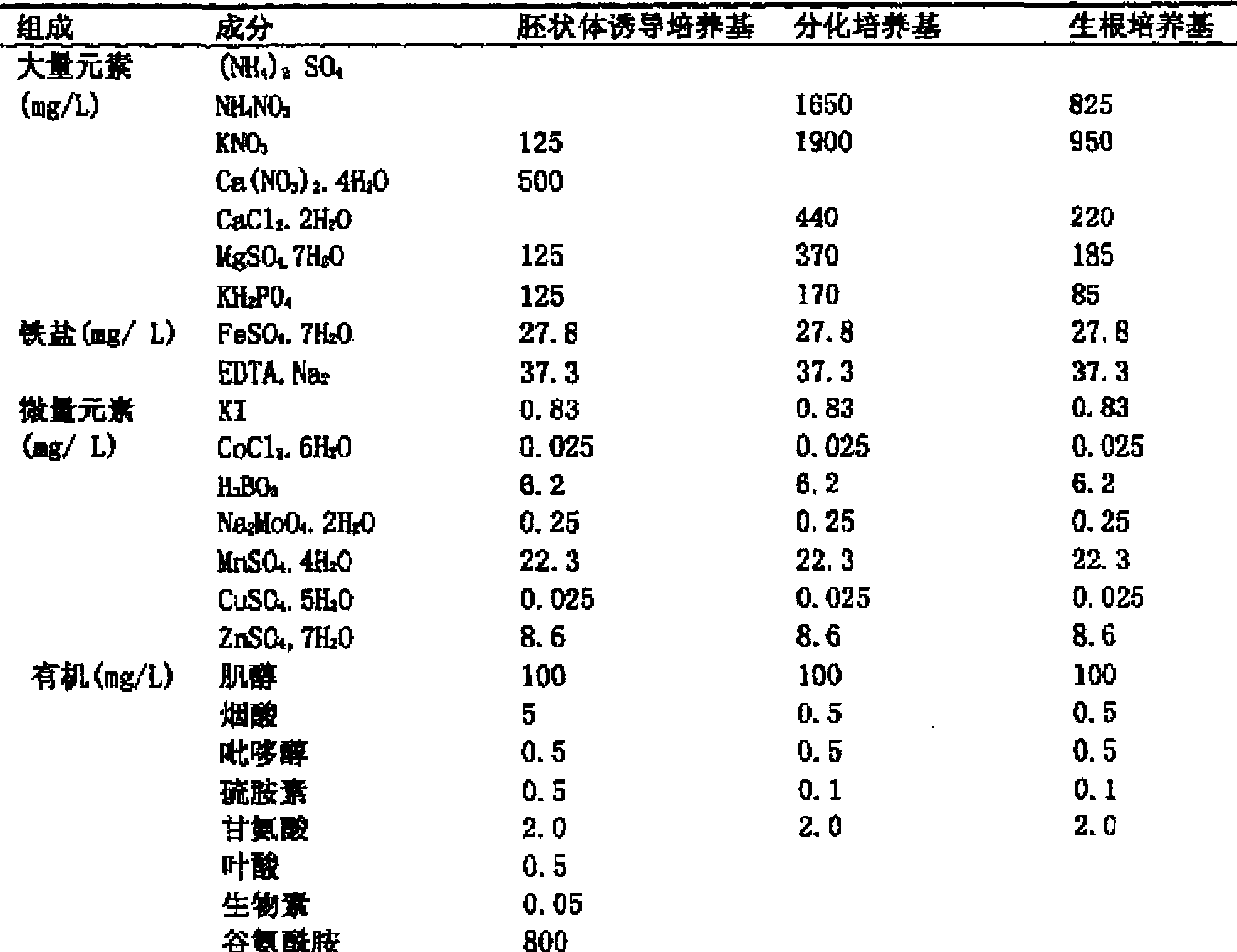 Culture medium prescription of regenerated plant from isolated microspore of brassica