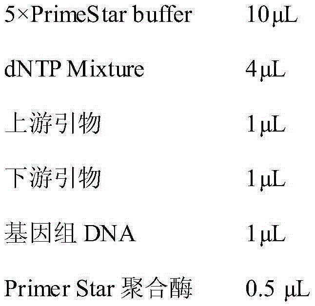 An Alkaline Pectinase Mutant with Improved Secretion Performance