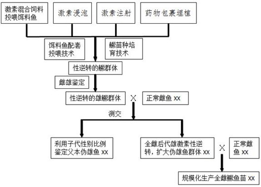 A kind of large-scale production method of whole female mandarin fish